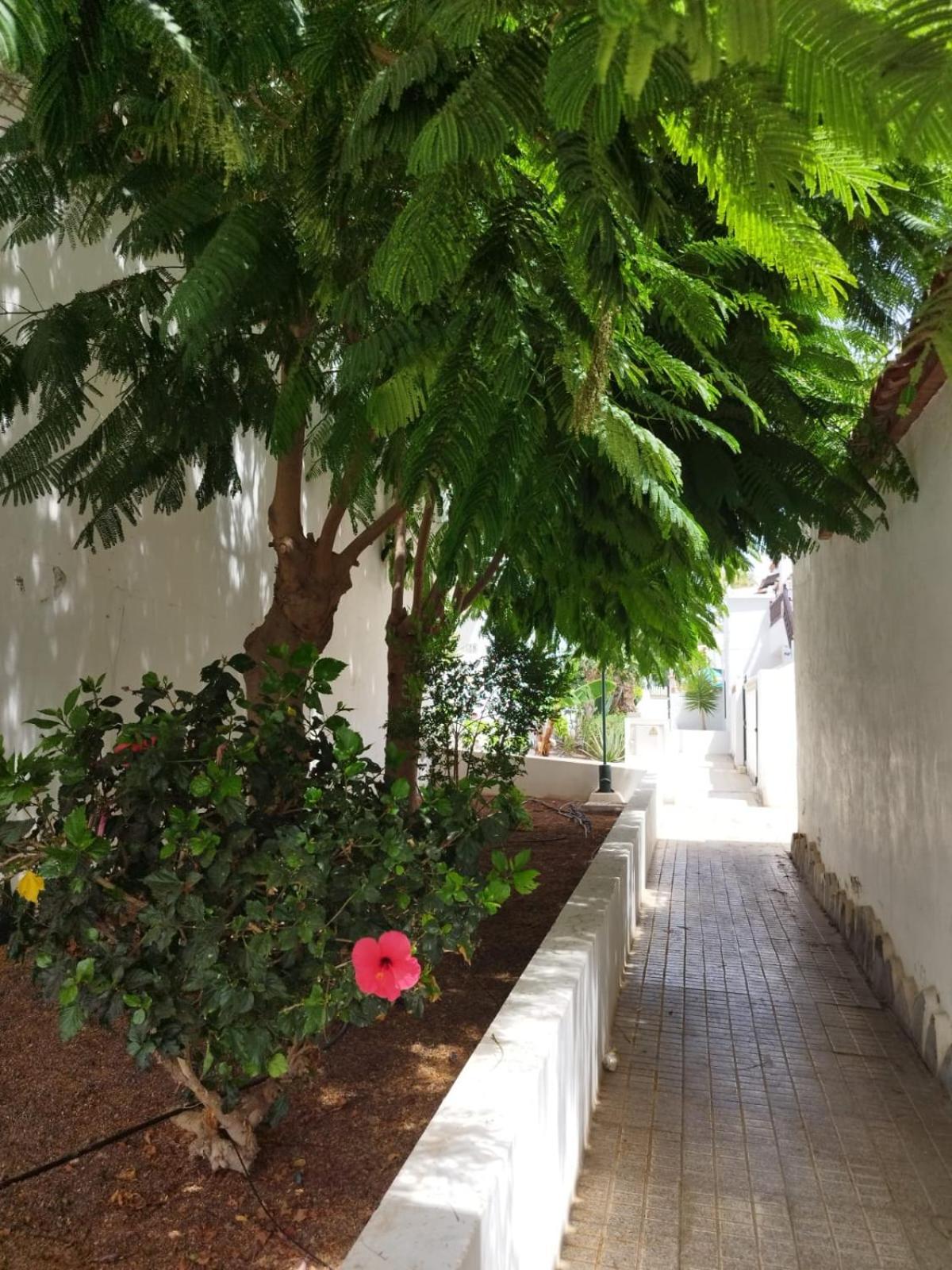 Apartment Sibil House Arona (Tenerife)