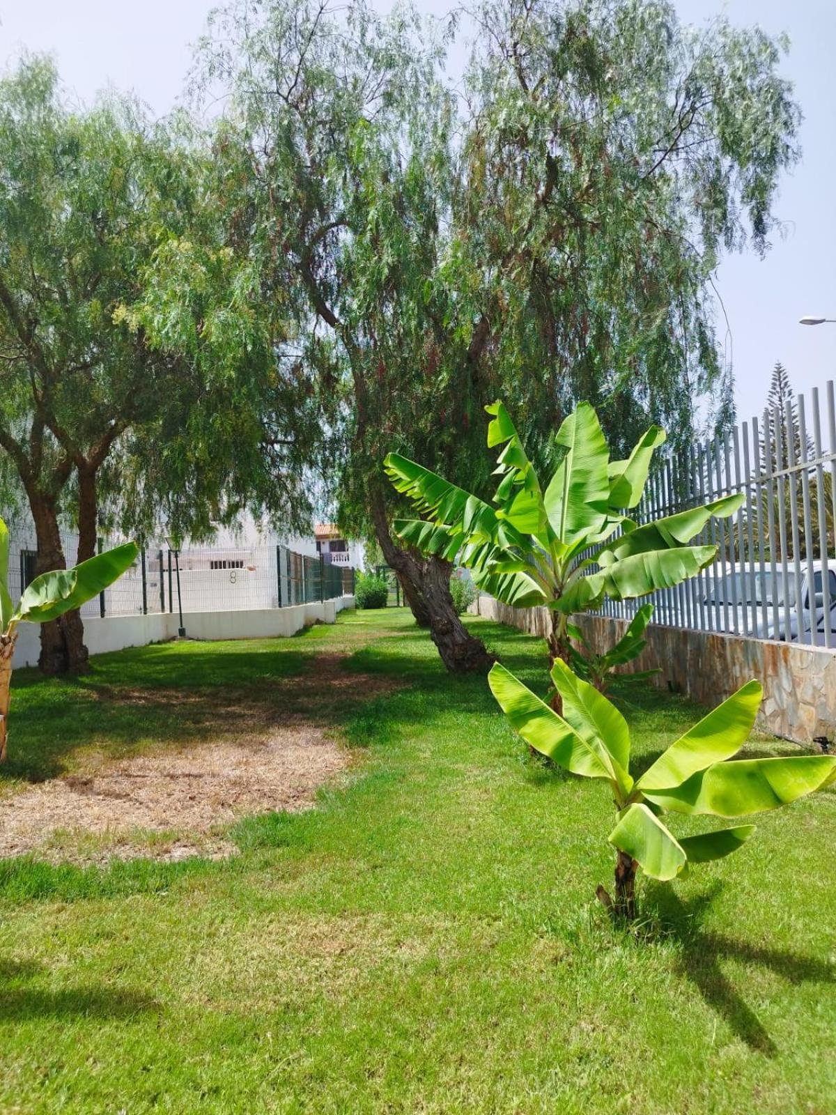 Sibil House Arona (Tenerife)